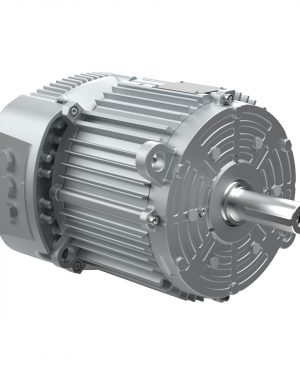 14460400 WEG AC Motor