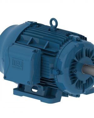 01536ET3E254T-W22 WEG AC Motor