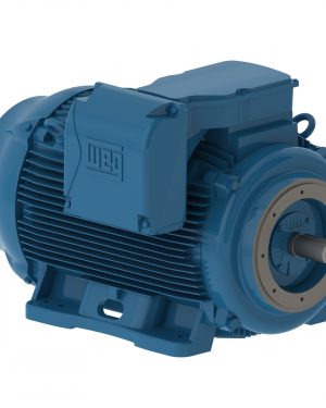 25018ET3G447TSC-W22 WEG AC Motor