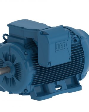 07509ET3Y315S/M-W22 WEG AC Motor