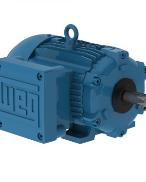 00236XT3E145T WEG AC Motor