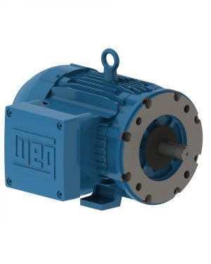 00536XT3E184TC WEG AC Motor