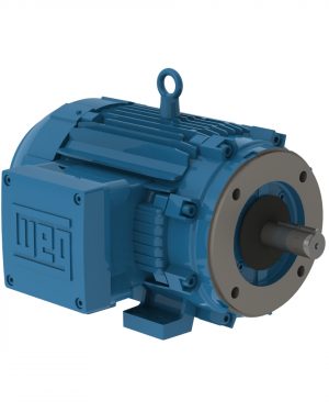 00512XT3E215TC WEG AC Motor