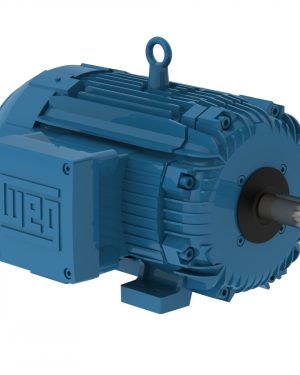 01018XT3E215T WEG AC Motor