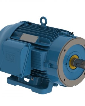 00709ST3QIE256TC-W22 WEG AC Motor