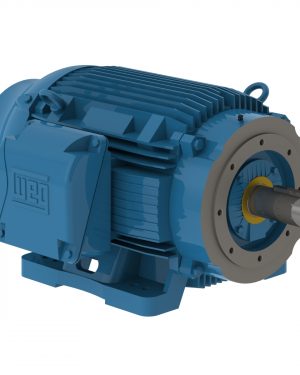 05009ST3QIE404TC-W22 WEG AC Motor