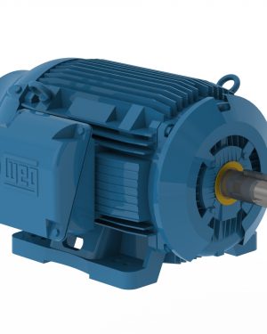 10018ST3QIERB405T-W2 WEG AC Motor