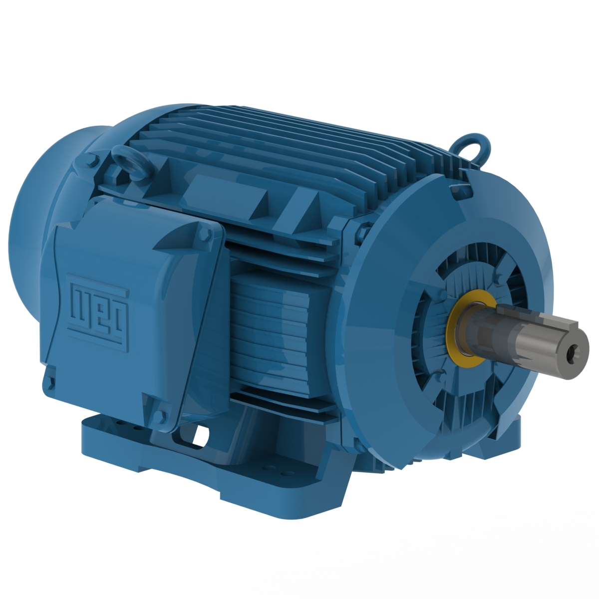 10018ST3QIERB405T-W2 WEG AC Motor