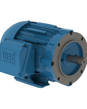 00236ET3H145TC-W22 WEG AC Motor
