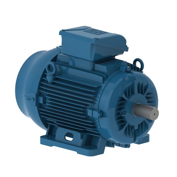 E00712EP3Y160MF3-W22 WEG AC Motor