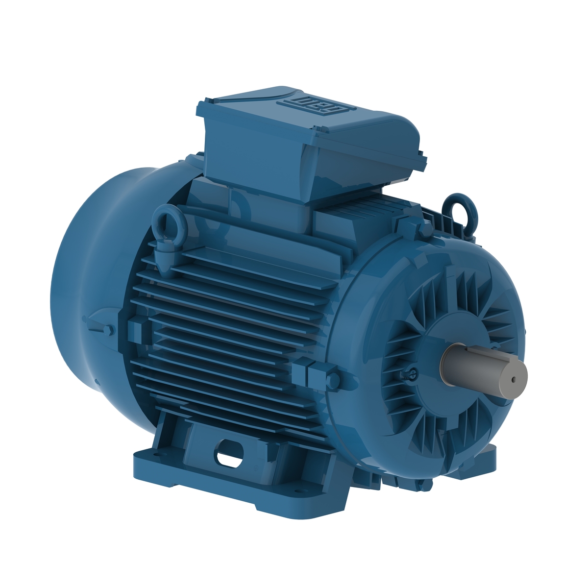 E03018EP3Y200LF3-W22 WEG AC Motor