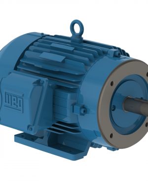 00512ET3H215TC-W22 WEG AC Motor