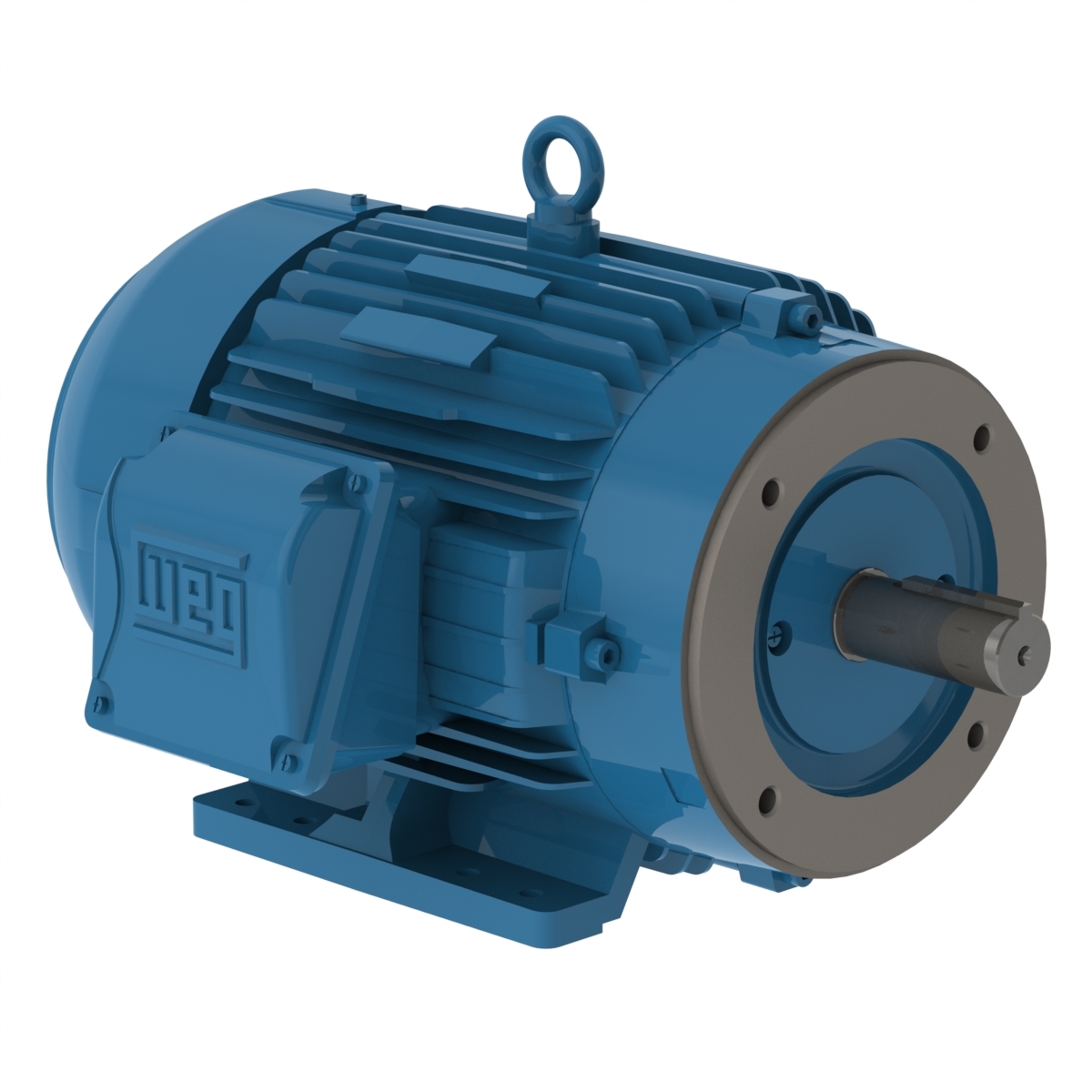 00512ET3H215TC-W22 WEG AC Motor