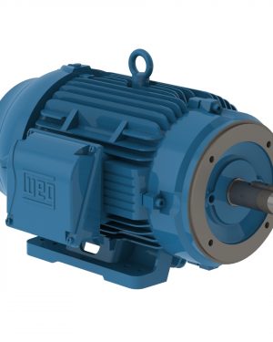 03012ET3E326TC-W22G WEG AC Motor