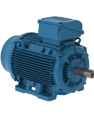 15036ET3E445TSF3-W22 WEG AC Motor