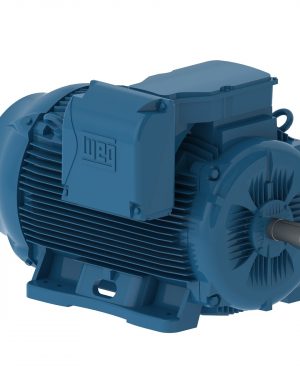 25018ET3H447TS-W22 WEG AC Motor