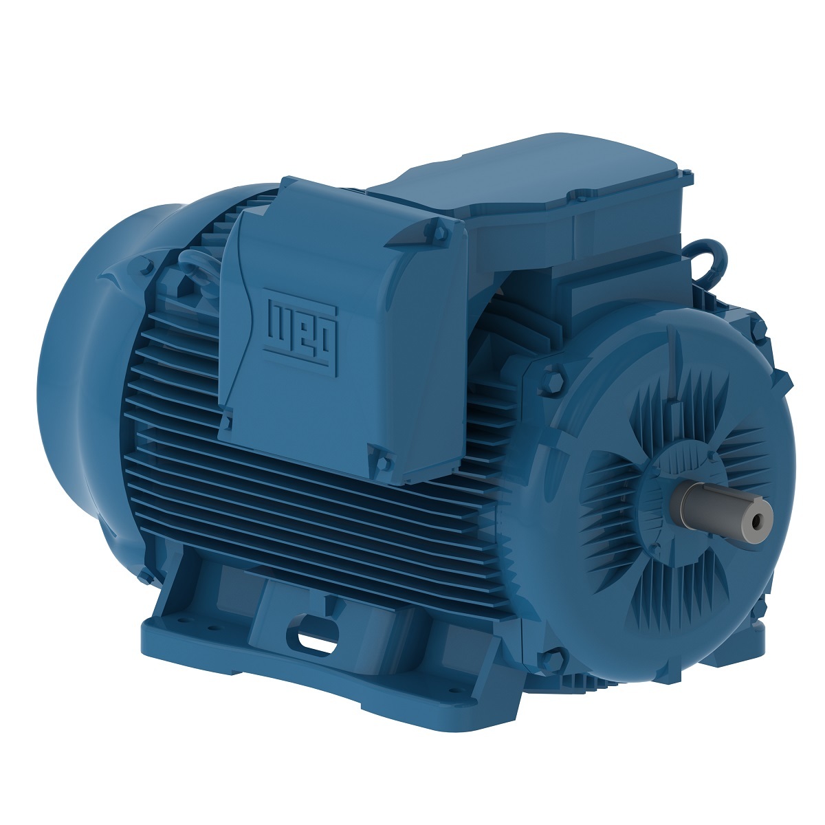 25018ET3H447TS-W22 WEG AC Motor