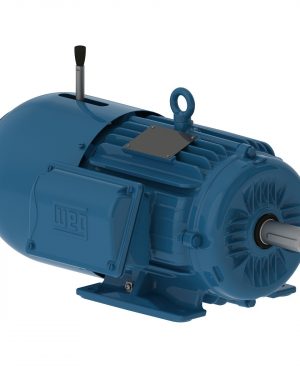 00536ET3EBM184T-W22 WEG AC Motor