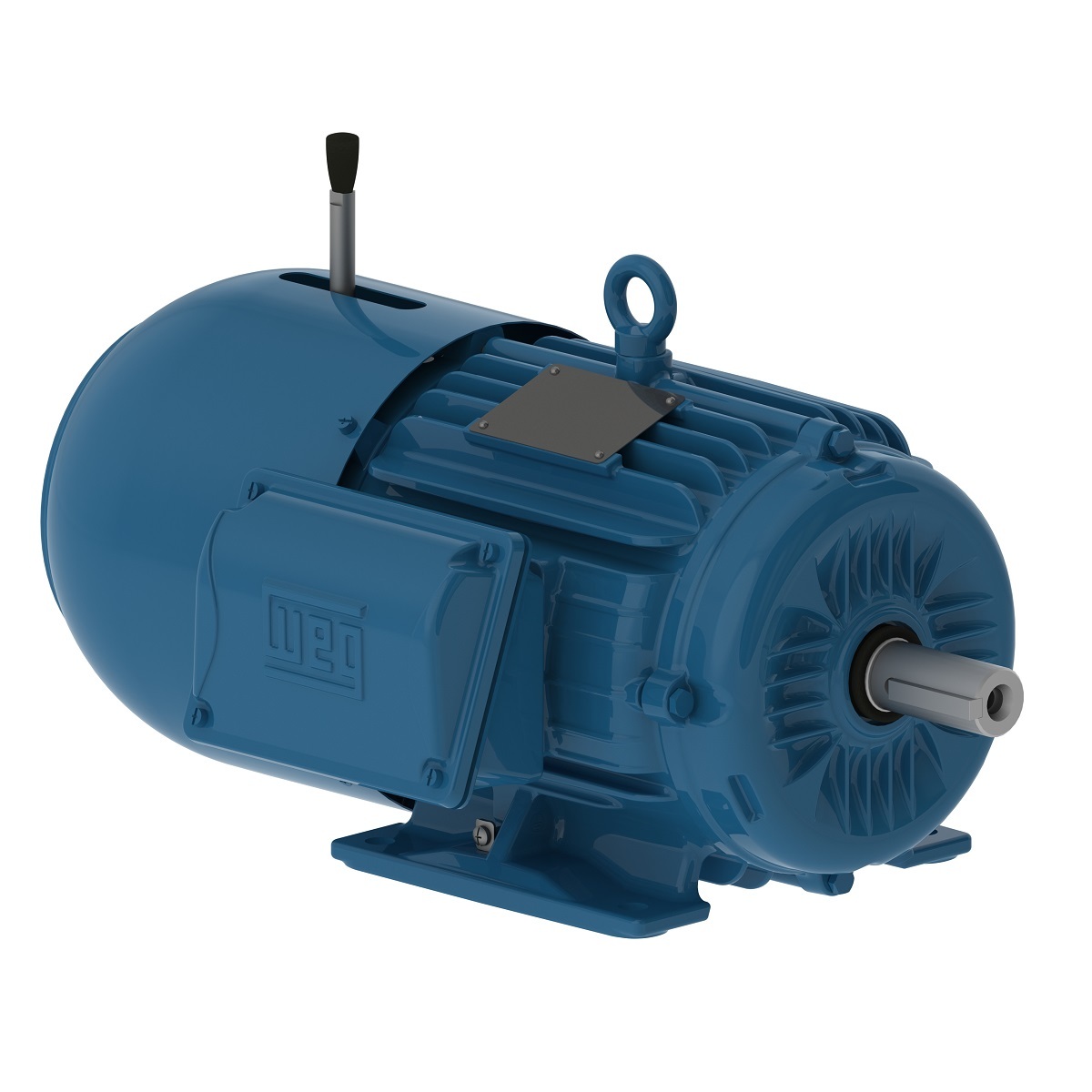 01018ET3EBM215T-W22 WEG AC Motor