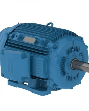 07509ET3GKD444T-W22 WEG AC Motor