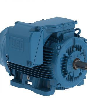 30018ET3GKD449T-W22 WEG AC Motor