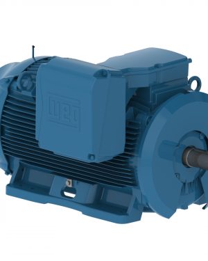 50012ET3GKD580Z-W22 WEG AC Motor