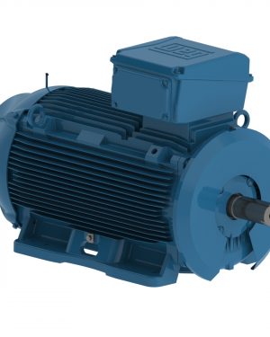 E20012EP3YAX315LF3-W WEG AC Motor