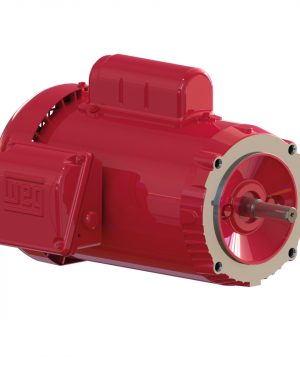 00118ES1RFD56CFL-S WEG AC Motor