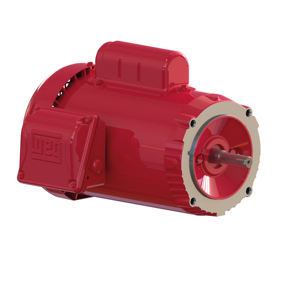 00118ES1RFD56CFL-S WEG AC Motor