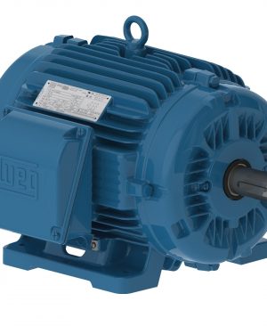 00509AT3E254T-W22 WEG AC Motor