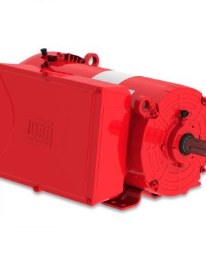 00318ES1DFD182T-S WEG AC Motor