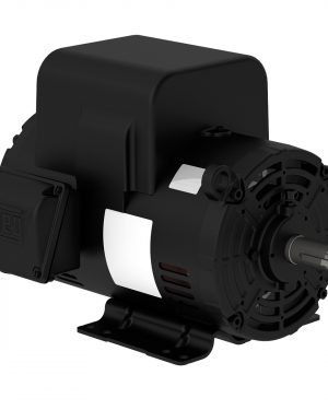 00318OS1CCDOL184T-S WEG AC Motor