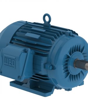 00309ST3HIE215T-W22 WEG AC Motor