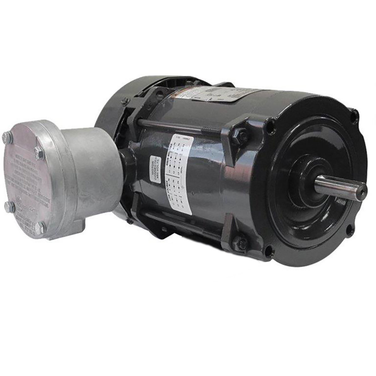 00136XS1BJPR56J WEG AC Motor