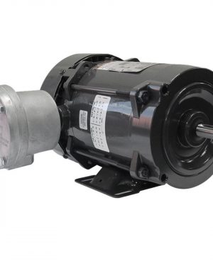 00236XS1C56H WEG AC Motor