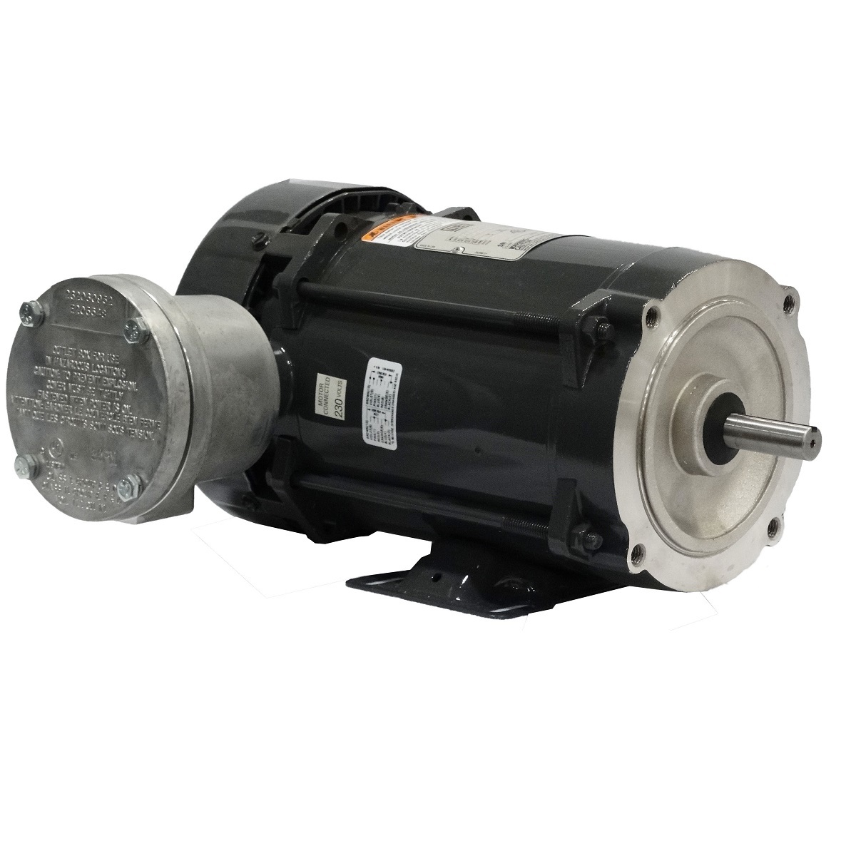 1113007424 WEG AC Motor