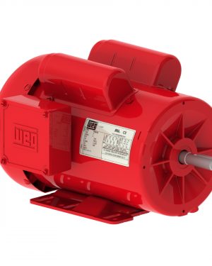 10340871 WEG AC Motor