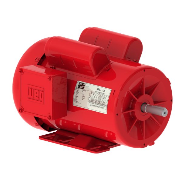 00118ES1RFD143T WEG AC Motor