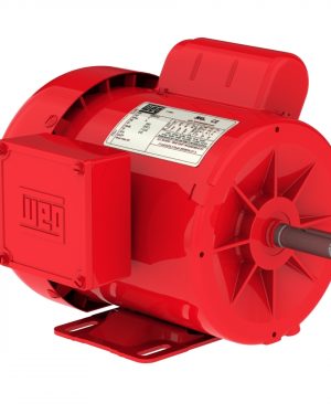 11910316 WEG AC Motor