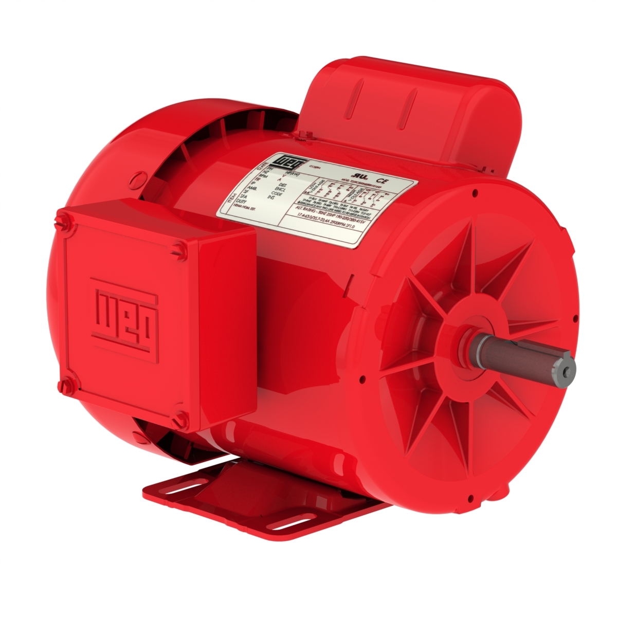 11910316 WEG AC Motor