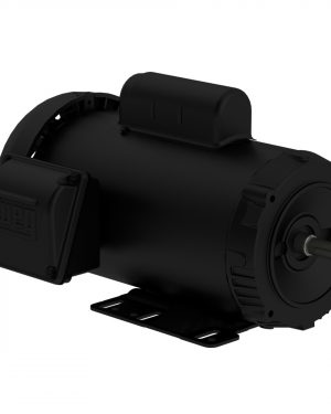 .2536ES1BW56C-S WEG AC Motor