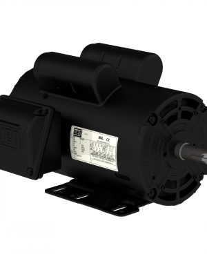 00218AS1BPF145T-S WEG AC Motor