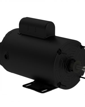 .3318AS1BPFPC48Z-S WEG AC Motor