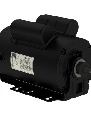 00118AS1BRBPF56-S WEG AC Motor