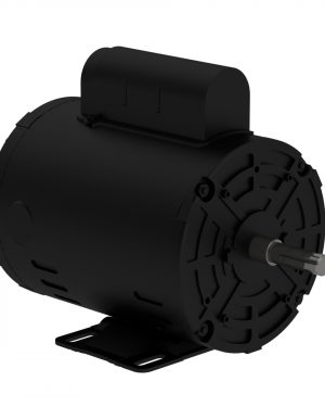 .3318AS1BPF48-S WEG AC Motor
