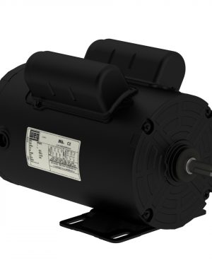 00118AS1BPFH56-S WEG AC Motor
