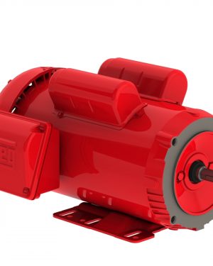 00218ES1RFD56CFL-S WEG AC Motor