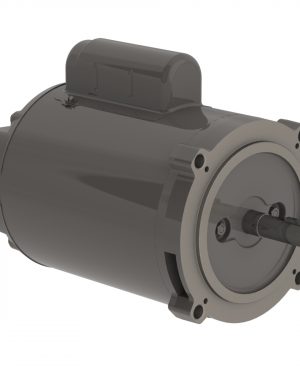 .5018OS1BC56CFL WEG AC Motor