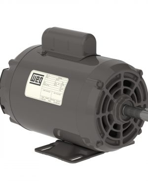 12692180 WEG AC Motor