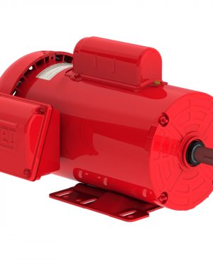 00118ES1RFD143T-S WEG AC Motor